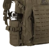Direct Action® DUST® MkII BACKPACK - Cordura® - Olive Green - Taktikai Hátizsák (Olive Green)