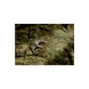Invadergear -  Revenger TDU Shirt - Zubbony (Socom)